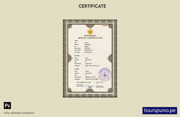 listo para imprimir plantilla PSD de certificado de nacimiento de registro ci 41
